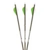 Gold Tip Warrior Arrows - With Vanes 1 Gold Tip Warrior Arrows - With Vanes -Kinetic Sales Store 815416 1