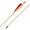 Buck Trail Standard Spruce Arrows -Kinetic Sales Store 842090 2