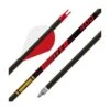 Gold Tip Hunter Arrows 2 Gold Tip Hunter Arrows -Kinetic Sales Store GOL014